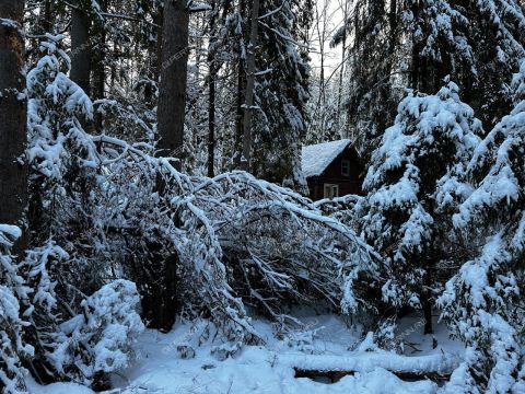 derevnya-syrohvatovo-gorodskoy-okrug-bor фото