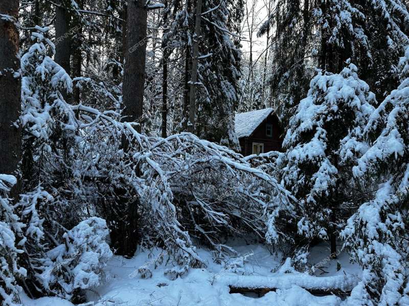 земельный участок под коттеджный посёлок в городском округе Бор Нижегородской области