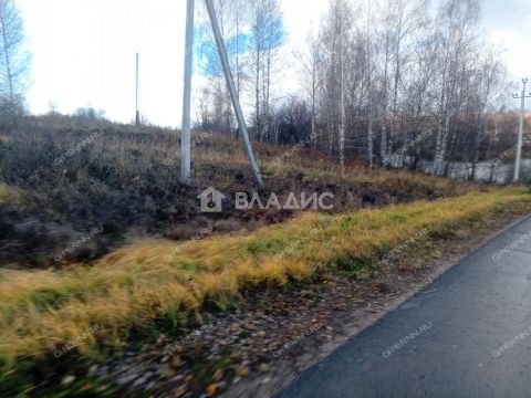 derevnya-inyutino-bogorodskiy-municipalnyy-okrug фото