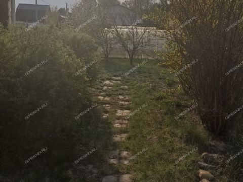 dom-gorod-vyksa-gorodskoy-okrug-vyksa фото