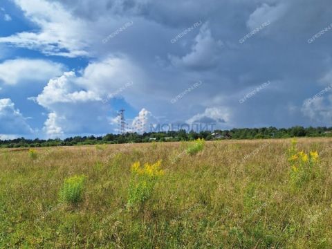 selo-linda-gorodskoy-okrug-bor фото