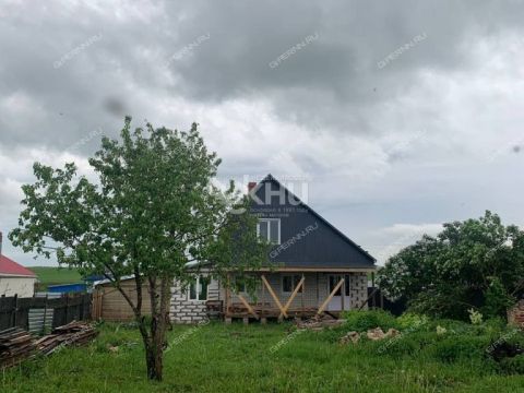 dom-derevnya-maevka-diveevskiy-municipalnyy-okrug фото