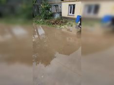 «Воды — по щиколотку!» Стоки с трассы массово топят участки в Нагулино