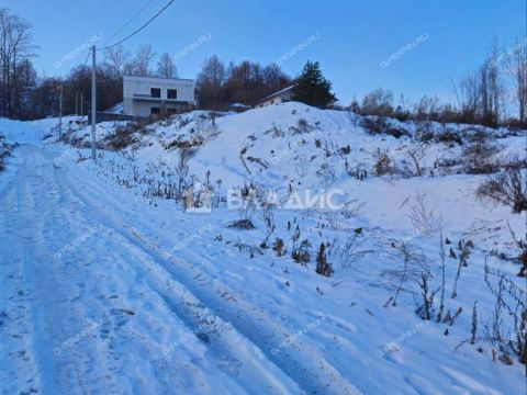 derevnya-afonino-kstovskiy-rayon фото