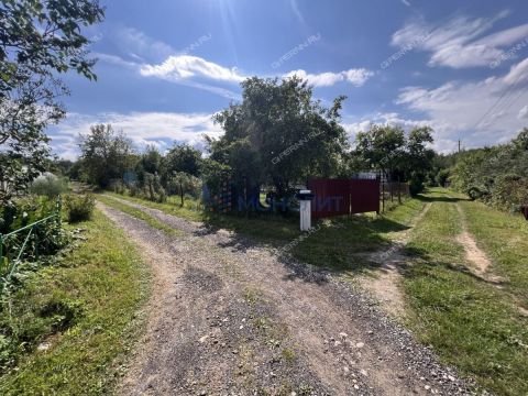 sad-derevnya-shoniha-bogorodskiy-municipalnyy-okrug фото