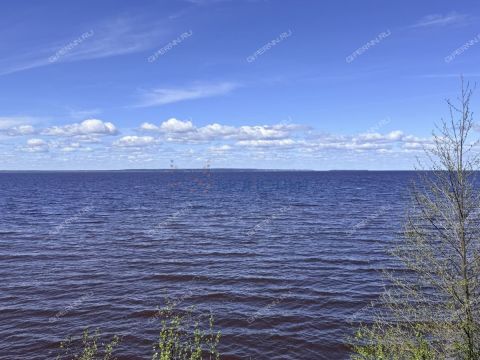derevnya-filino-sokolskiy-gorodskoy-okrug фото