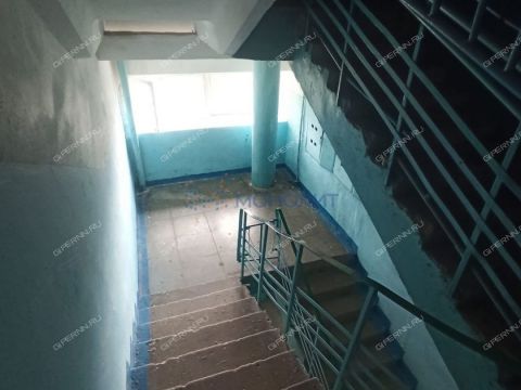 1-komnatnaya-druzhnyy-sp-kstovskiy-rayon фото