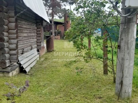dacha-rabochiy-poselok-dalnee-konstantinovo-dalnekonstantinovskiy-rayon фото