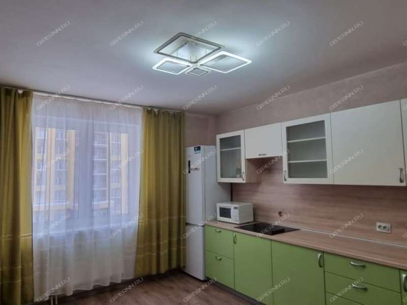 двухкомнатная квартира на улице Романтиков дом 14