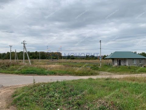 derevnya-prudy-bogorodskiy-municipalnyy-okrug фото