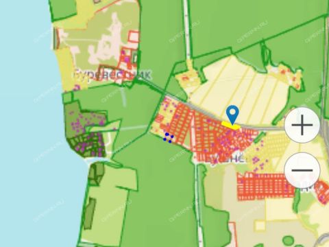 derevnya-bushnevo-gorodeckiy-rayon фото