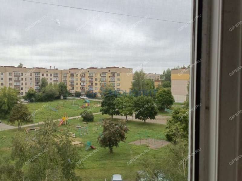 трёхкомнатная квартира на Танковой улице дом 20 посёлок Новосмолинский