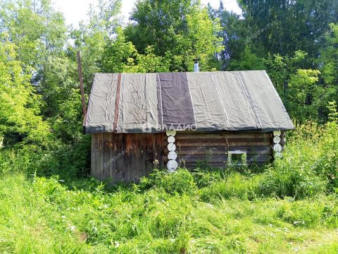 3-komnatnaya-derevnya-afanasiha-krasnobakovskiy-rayon фото