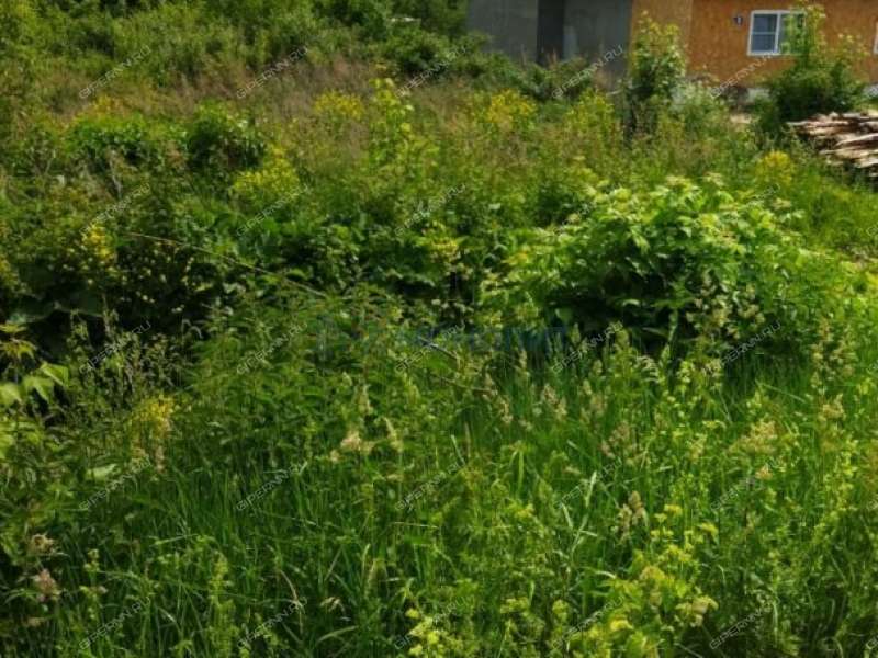 земельный участок 19 соток Верхний Конец улица село Стрелка