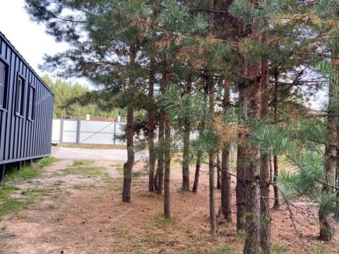 dom-derevnya-malyy-suhodol-gorodeckiy-rayon фото