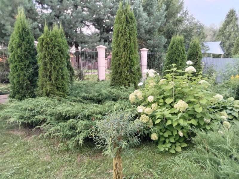 коттедж на ул. Свободы деревня Ионовка