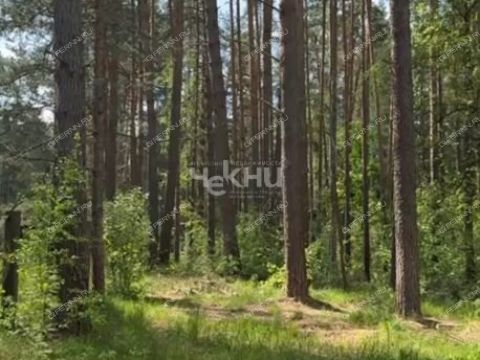 derevnya-lindo-usad-gorodskoy-okrug-bor фото