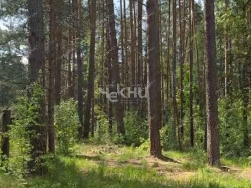 земельный участок 53 сотки деревня Линдо-Усад