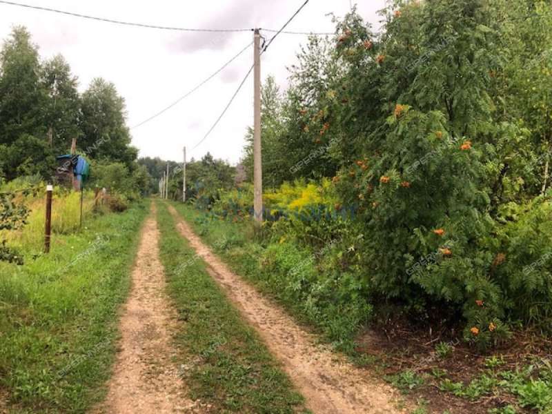 земельный участок под сельхоз назначение в Богородском районе Нижегородской области