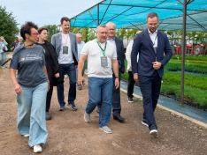 Курс на зелень: как премия «Искусство строить» задает стандарты благоустройства