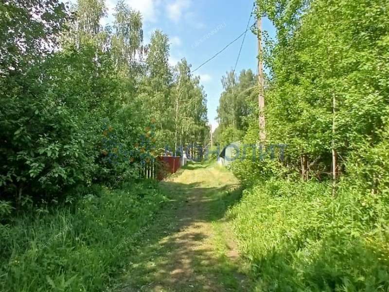 земельный участок 9,78 сотки - СНТ Родник-40