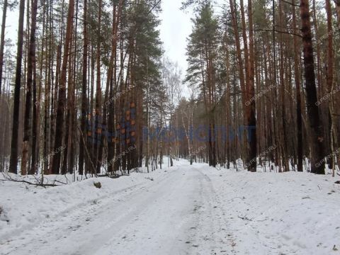 derevnya-strahovo-gorodskoy-okrug-bor фото