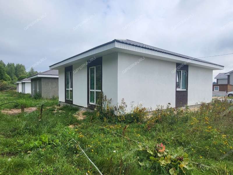 дом на Героя Демина ул. деревня Пруды