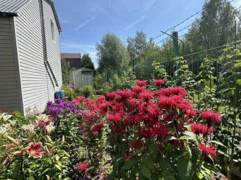 dacha-snt-nadezhda фото