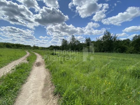 derevnya-lipovki-balahninskiy-municipalnyy-okrug фото