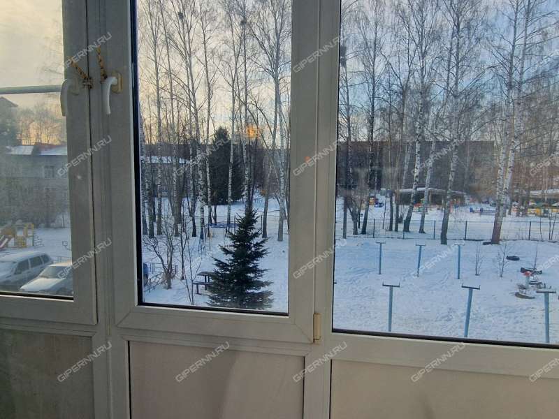 двухкомнатная квартира на Школьной улице дом 25 посёлок Ждановский