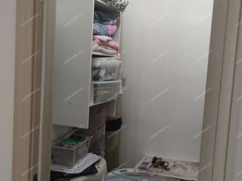 двухкомнатная квартира на Русской улице улице дом 7 деревня Анкудиновка