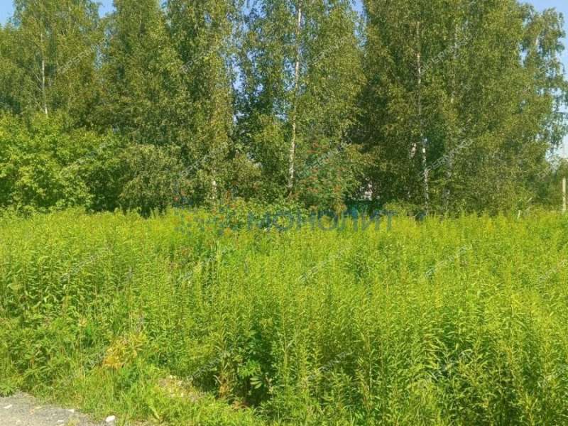 земельный участок 10 соток ДНП Возрождение деревня Золотово (Ситниковский сельсовет
