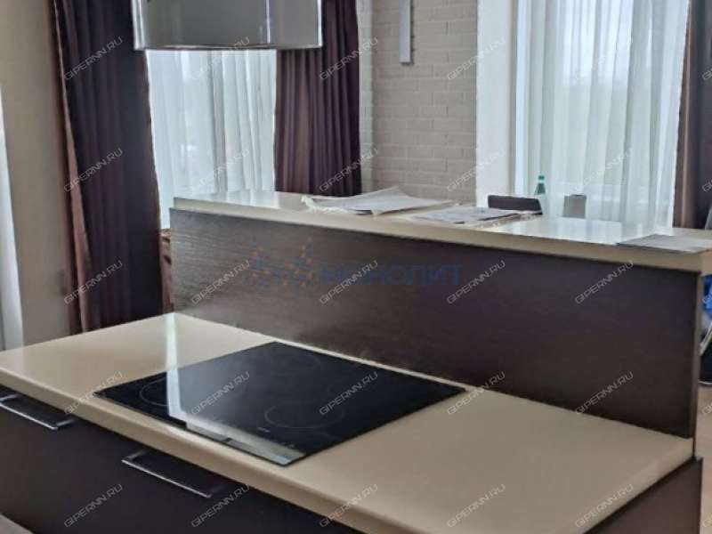 трёхкомнатная квартира на Русской улице улице дом 4 деревня Анкудиновка