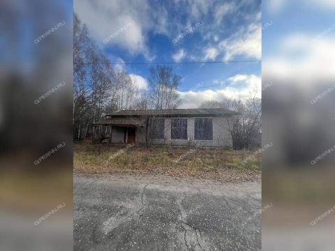 derevnya-korenevo-sokolskiy-gorodskoy-okrug фото