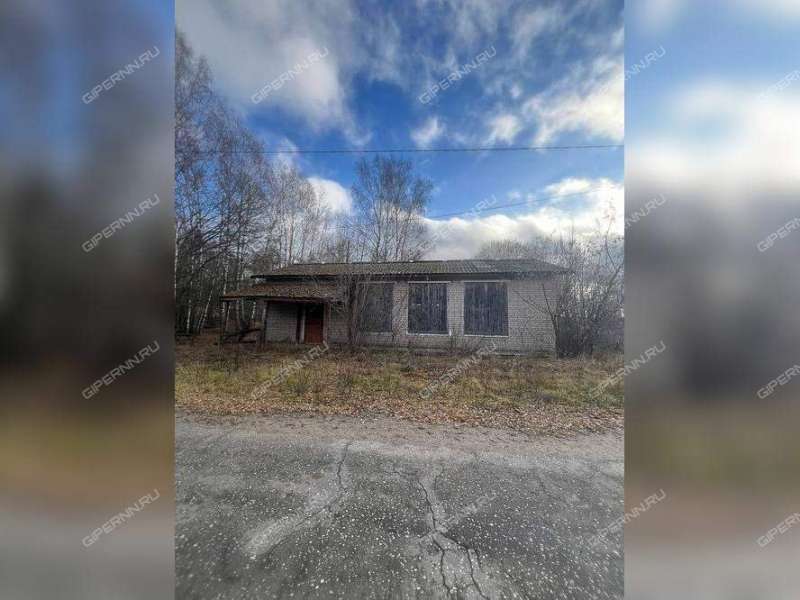 помещение под коммерческую недвижимость на улице Соколова деревня Коренёво