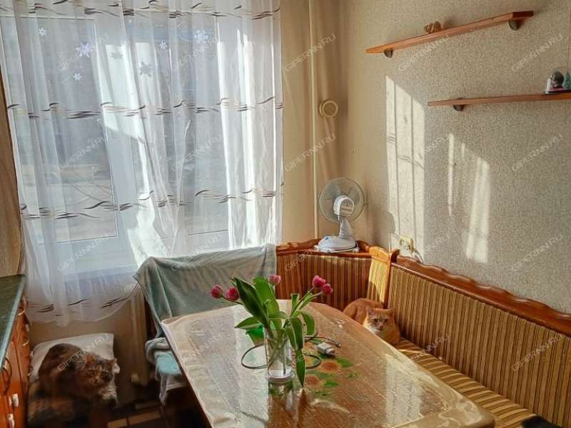 трёхкомнатная квартира на улице Челюскинцев дом 19