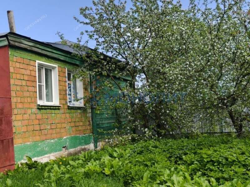 дом на Дорожной улице село Алешково