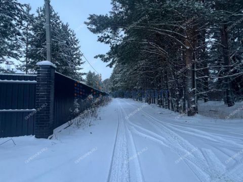 derevnya-malyy-suhodol-gorodeckiy-rayon фото