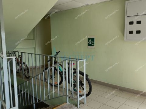 1-komnatnaya-derevnya-berezovka-bogorodskiy-municipalnyy-okrug фото