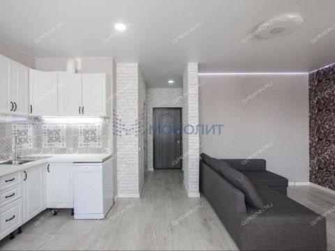 1-komnatnaya-derevnya-afonino-kstovskiy-rayon фото