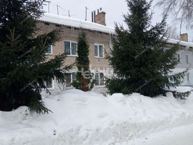 двухкомнатная квартира на Молодёжной улице дом 9 село Зиняки