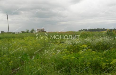 Погода в мордвинцево. Мордвинцево Нижний Новгород. Деревня Мордвинцево. Мордвинцево дом 31. Деревня Мордвинцево дома.