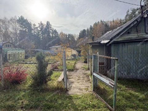 dacha-derevnya-rekshino-gorodskoy-okrug-bor фото