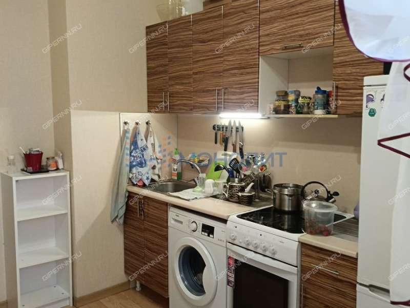 однокомнатная квартира на Русской улице улице дом 5 деревня Анкудиновка