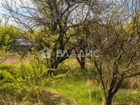 derevnya-apraksino-gorodskoy-okrug-bor фото