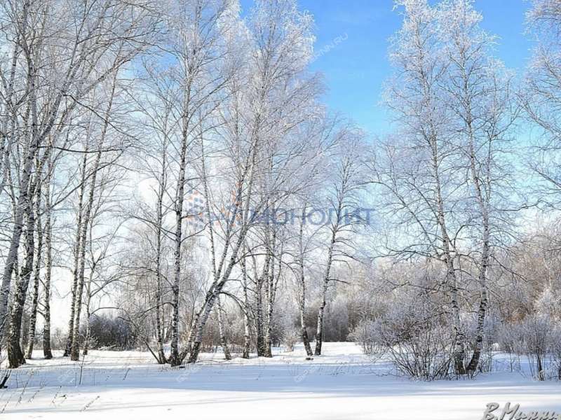 земельный участок 15,7 сотки Центральная улица