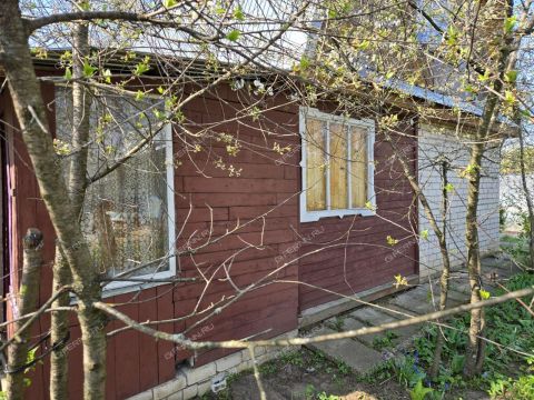 dacha-ul-radishheva фото