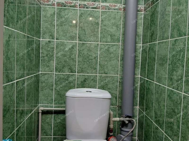 трёхкомнатная квартира на Полевой улице дом 10 деревня Новоликеево