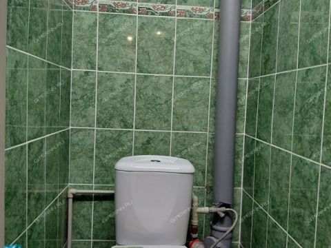 3-komnatnaya-derevnya-novolikeevo-kstovskiy-rayon фото