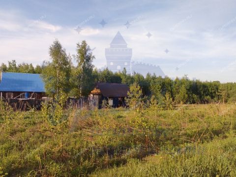 derevnya-mozgulino-gorodeckiy-rayon фото